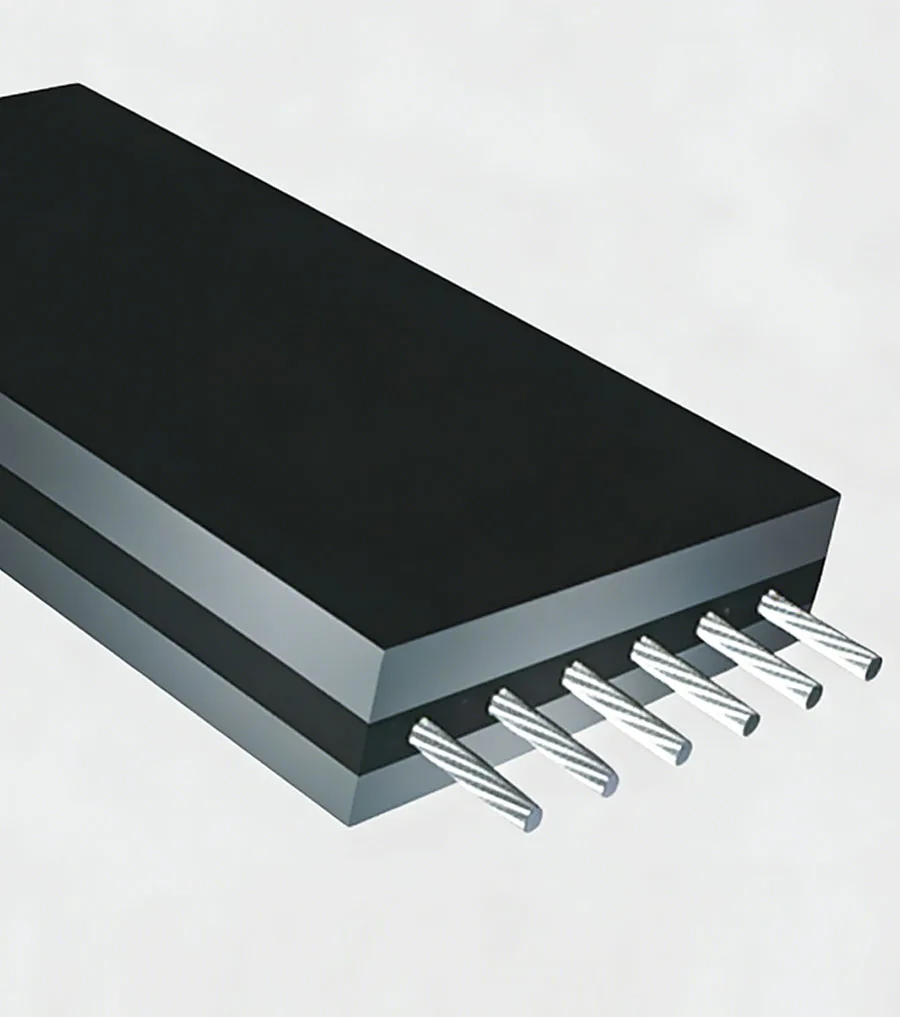 Steel cord conveyor belt